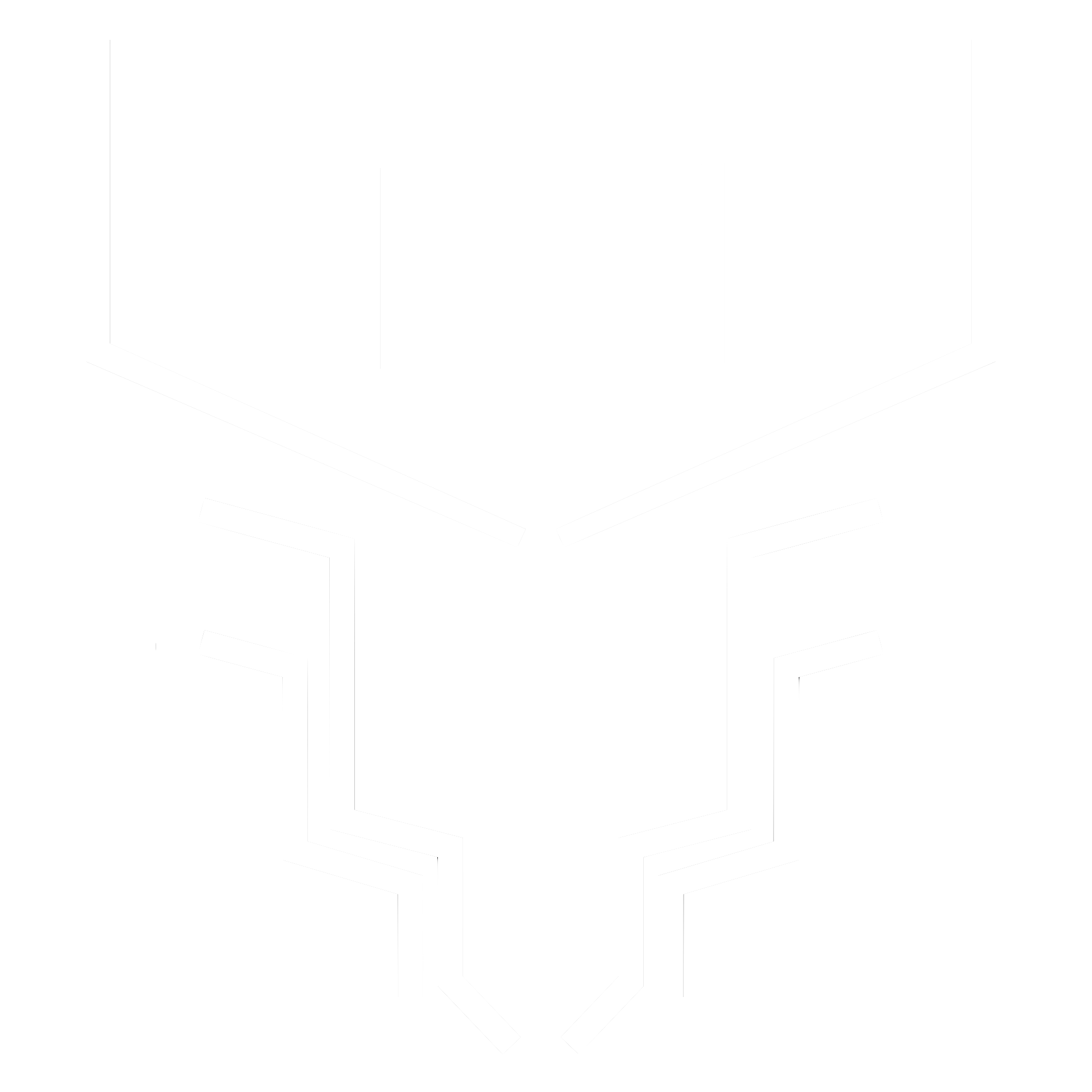 TWIN ELK Tech Solutions